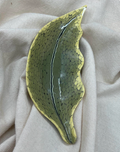 Small Leaf "Reptil" by Nicola Constantino