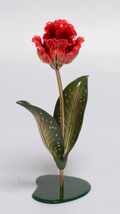 Tulip by Nicola Constantino