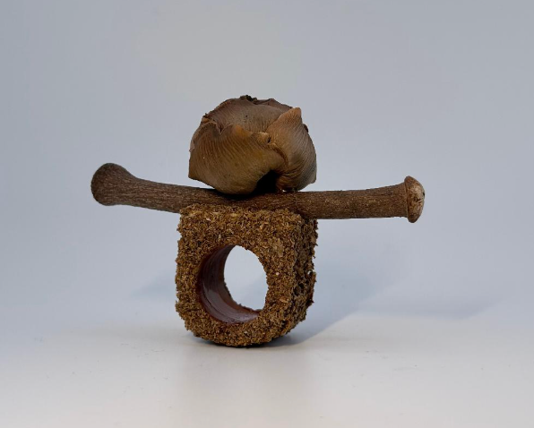 Object Subject x Carol Jazzar