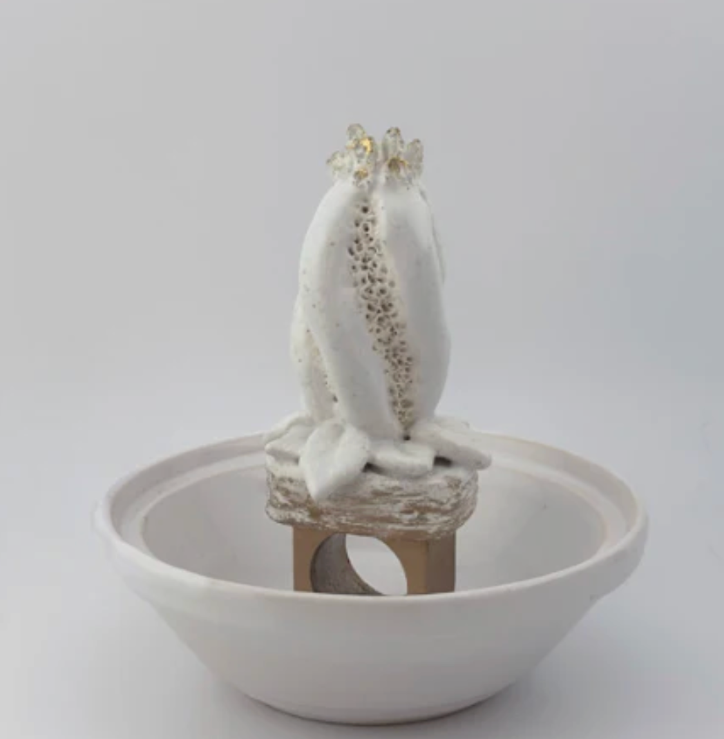 Object Subject x GIannina Dwin