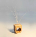 Object Subject x Pip Brant